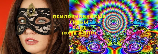 мяу мяу мука Осинники