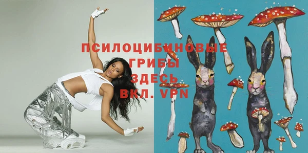 мяу мяу мука Осинники