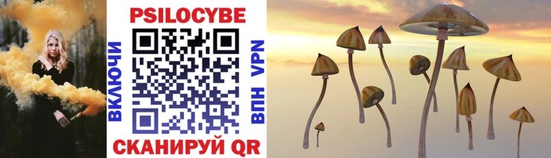 Купить закладки  Зеленоградск  Псилоцибиновые грибы Cubensis 